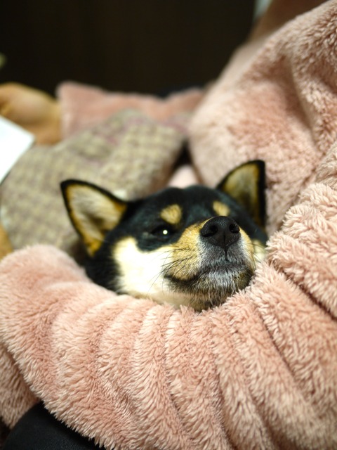 P1050095