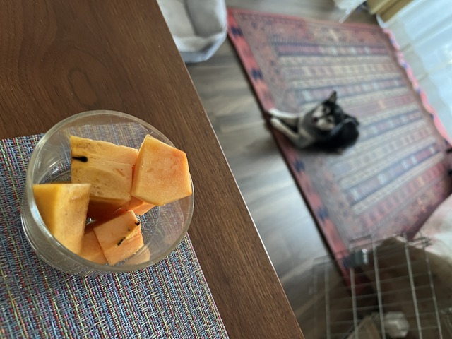 8F696562-9AF5-4CB5-8657-F3D551B48BD2_1_201_a