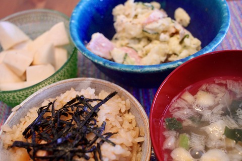 鳥ごぼうご飯とブラタモリ