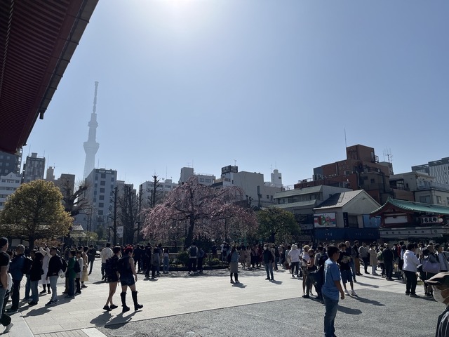 1ADB1A87-61AC-4836-A8DD-6BCA9008E12E_1_105_c