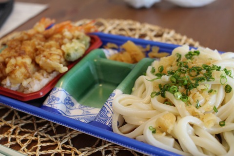 格安天丼セットと豆柴シャンプー