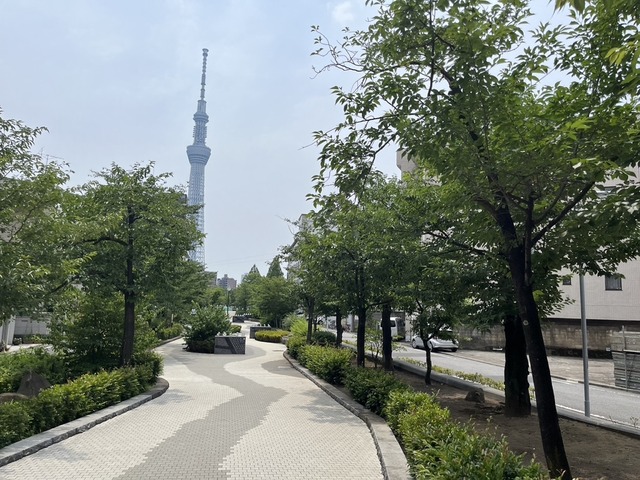 A22CA7A7-28AC-4576-B9A3-62AC2B8097C7_1_105_c