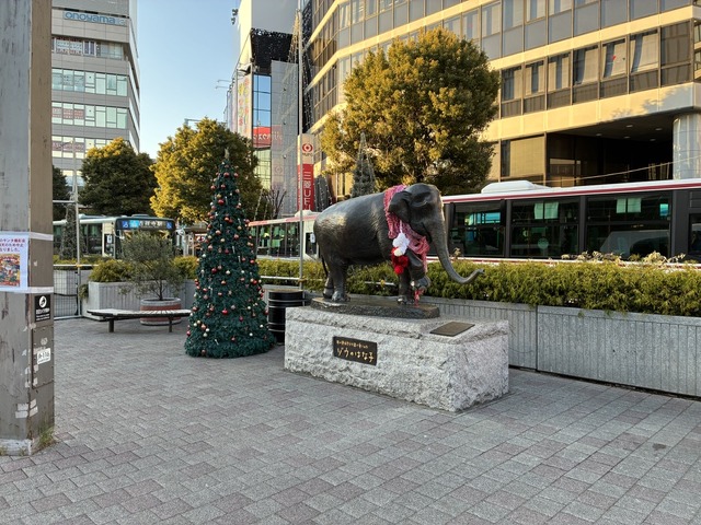 A24375DD-B4AB-44CF-A3AD-D74B5C4FC86E_1_105_c