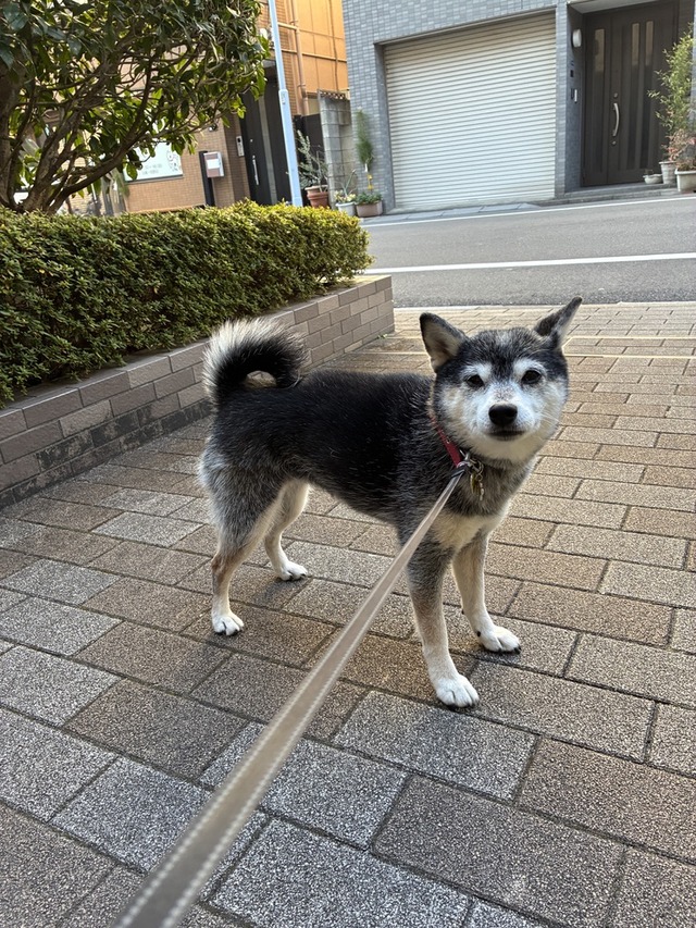 AC7DBD61-BF2A-466D-97C7-381E2147DA19_1_105_c