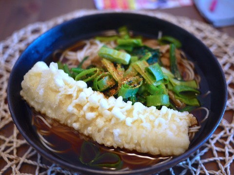 イカづくしの冬の一日