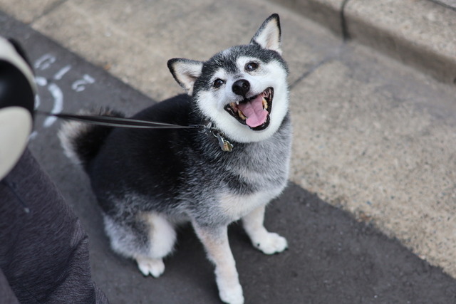 F73143A1-4446-44AF-8838-0CDDB51DF181_1_105_c