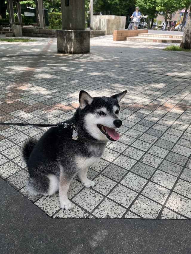 11FF56D0-AE73-40FF-8204-BD30CABB59A8_1_105_c