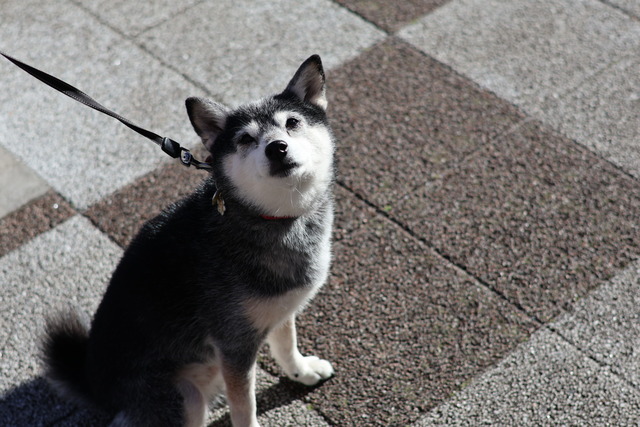 E63DB1B1-4A7D-4DC0-BA9B-564DBB71043B