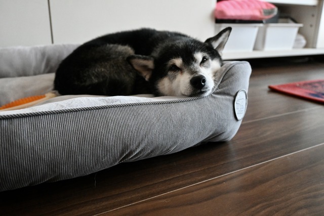 E5F50A70-3581-482B-9AE0-ED016577FC92_1_201_a