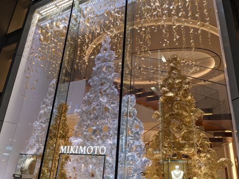 PXL_20201121_082850481.NIGHT