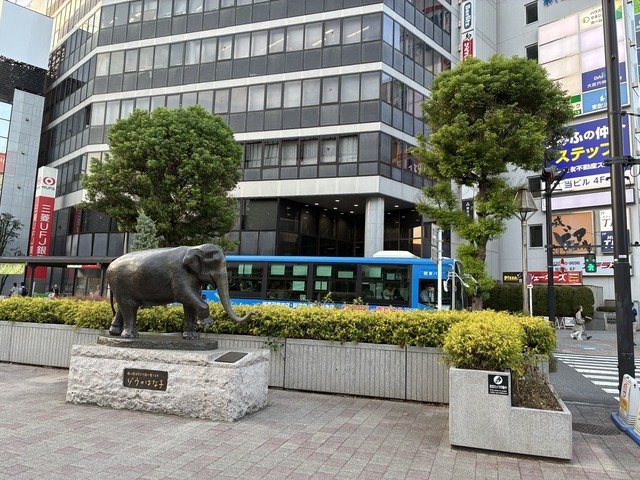 22C9E9D8-8AA6-4C4C-91A0-FE49421AF707_1_105_c