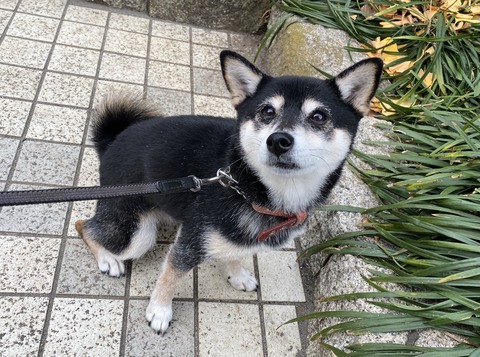 9B4C25D4-761F-4455-9BAD-75BB3C1C43EA