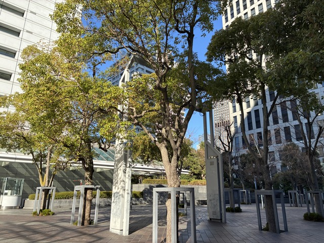 58B8AF03-1F55-45A7-9EFF-5D1F3F79C464_1_102_o