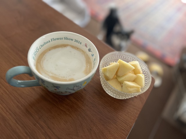 CF402892-73A9-497A-904C-1380DBDDE8D9_1_201_a