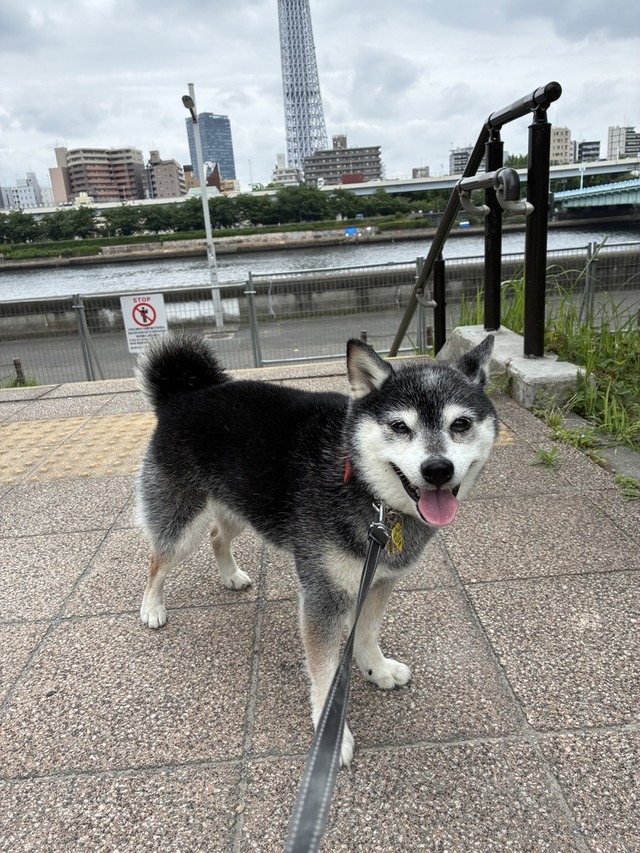 488D076B-D031-4938-9154-2D76829E0007_1_105_c