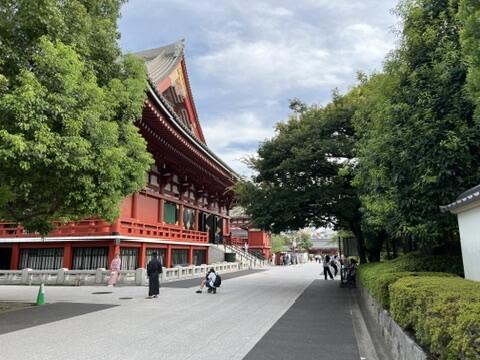 46940980-9DED-475C-9631-94F967EFAF0C_4_5005_c