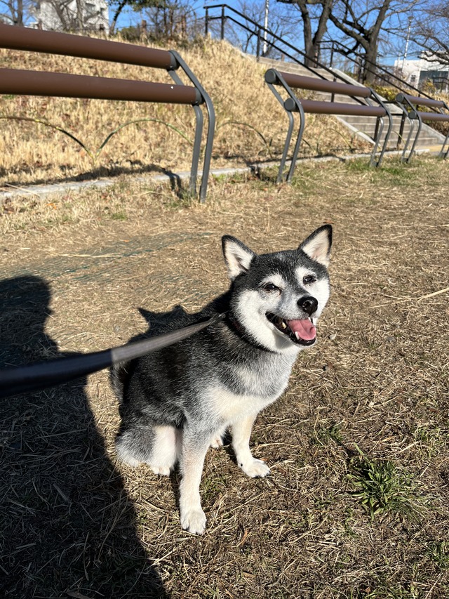 622379A9-8995-4B81-B04F-AA38F3905AA1