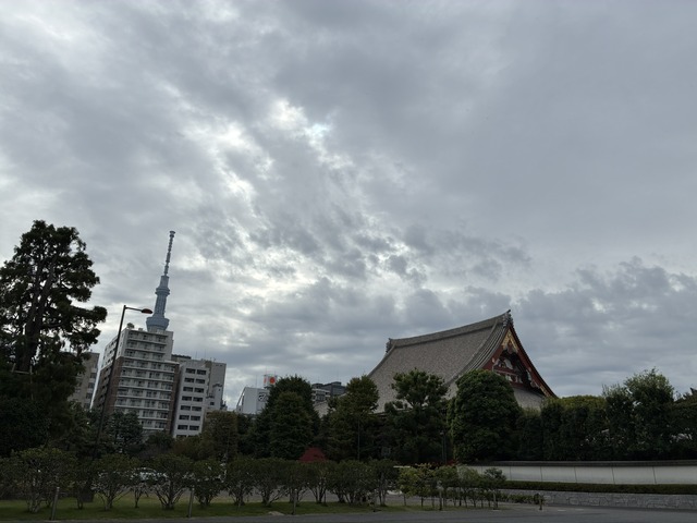 9D29086D-E2EB-42EA-B54E-14FD22CC2A69_1_102_o