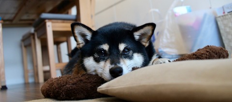 IMG_1805
