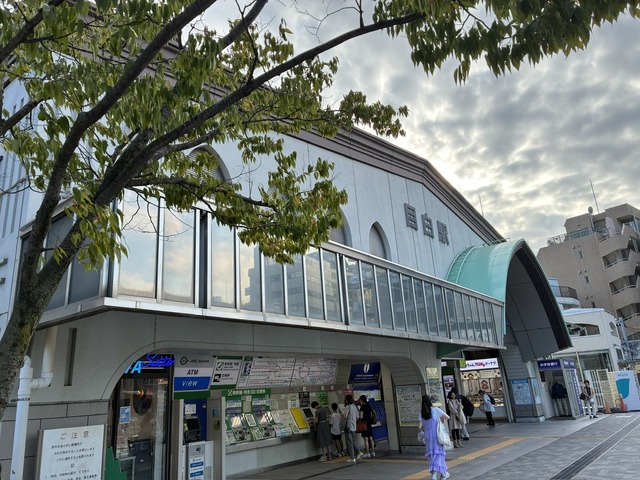 458266B7-282F-4CE4-889B-D4FA5AFCA675_1_105_c