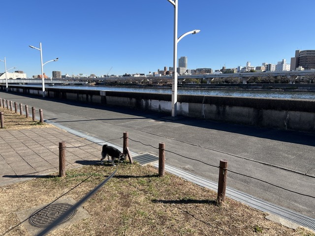 BF2B63F8-95EC-49D8-9179-B7D66E9ACFD4_1_105_c