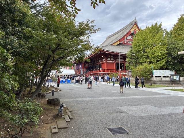 D963CF84-C6A8-4353-838D-7E8B69547199_1_105_c