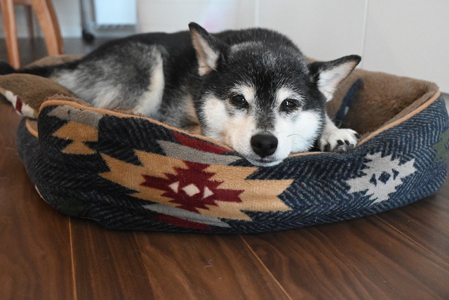 E3BC01F7-AB97-44DF-A885-42D7EF7DC6DD_1_105_c