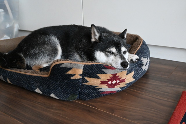 盛夏のピラフ炒飯とチキンなすチリソース