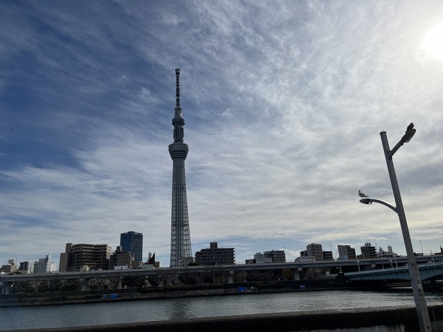 8AF76474-404F-40EA-AFDE-880A72F2B018_1_105_c