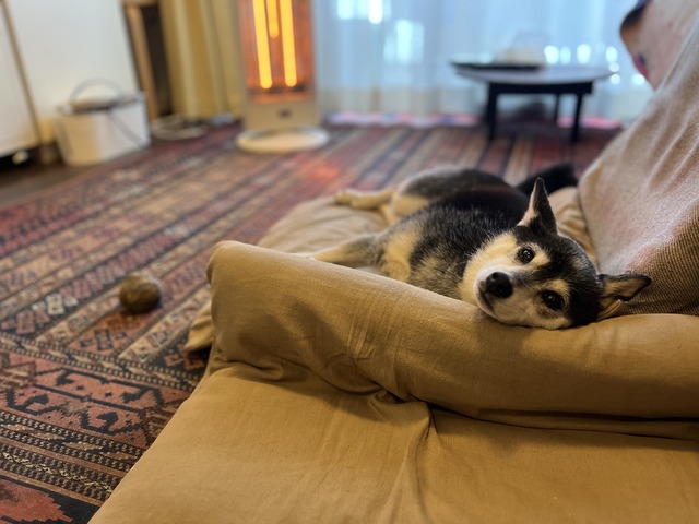 47C166B2-D770-4BF1-9B77-FD5C2C648675_1_105_c