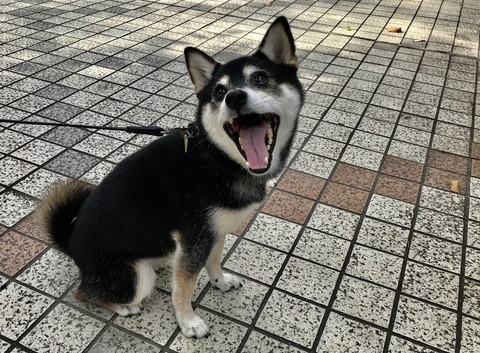 718AAE73-4B99-4F49-ADD2-BB8B633F9643_1_105_c