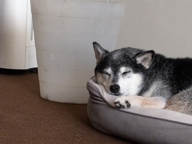 7D4CAE69-6AF8-4112-9ECA-7088F264CFBC_1_105_c