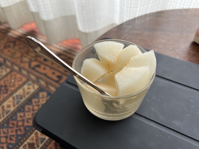 668BB58C-4DAB-41E1-A30D-E301F4F13D42_1_105_c