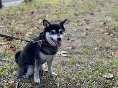 D60AD5D4-34FD-41FE-86C8-6ED0B5D1C47C_1_105_c