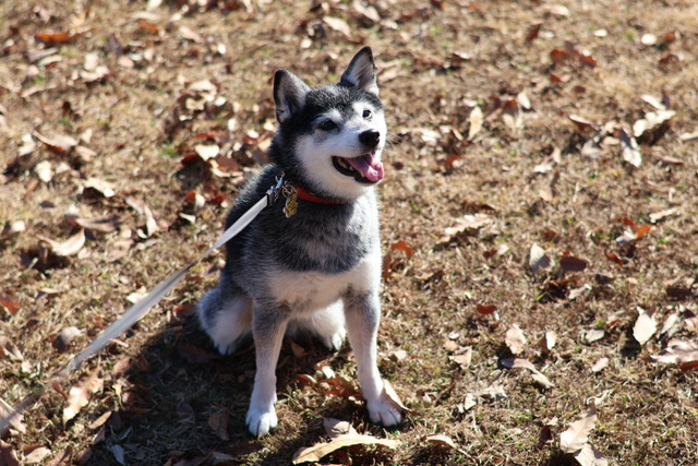 F3C53CEC-238A-4203-BE83-E14FD827A022