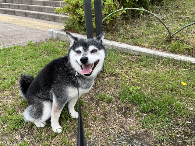 216D2EAD-6ACB-40B6-B017-925D931AC797_1_105_c