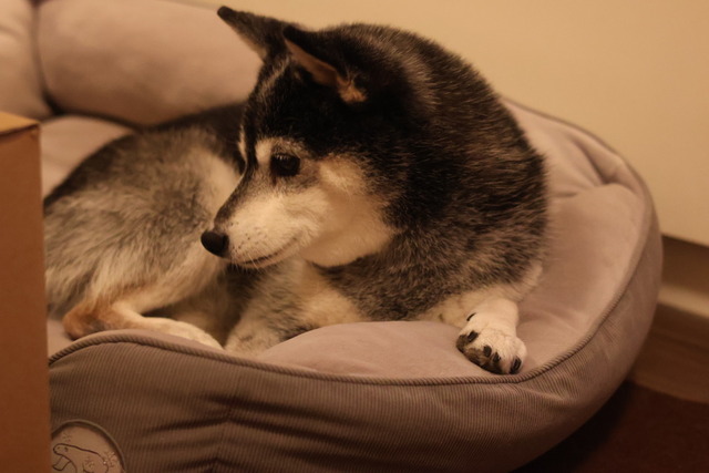 D43E0206-8E30-4DF6-A885-551139B2CC6F_1_105_c