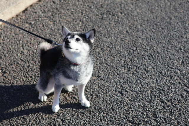 E41368AB-7512-4299-A3D9-77C9157898F7