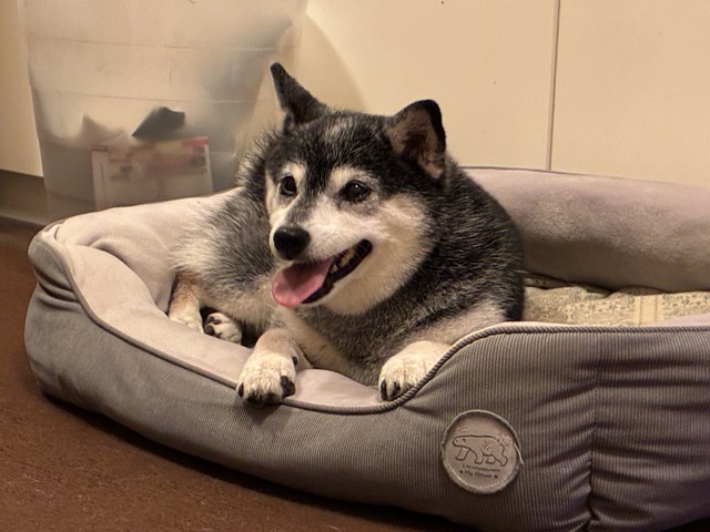 真夏日のカツ丼と酢鶏