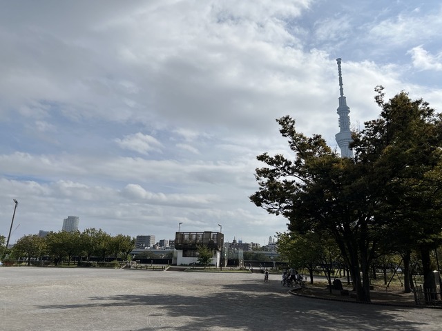 95F7D42D-74EF-49C4-BB6F-9D9DB0CC74E5_1_105_c