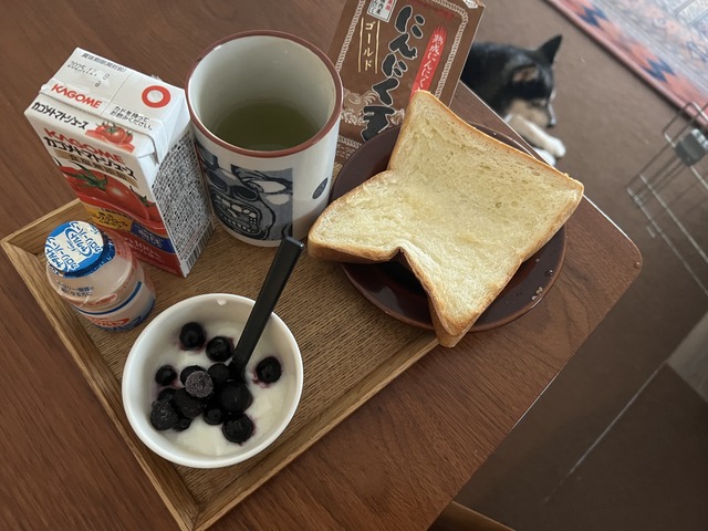 E3AA9FDB-7278-4FCC-A145-9F396A621072_1_201_a