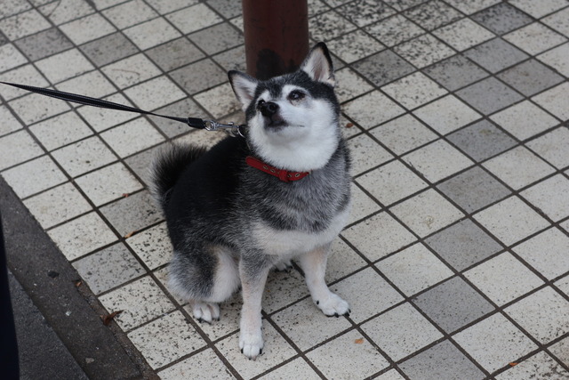 D5C57103-78BF-41A2-BCC7-03C0124AE4A3