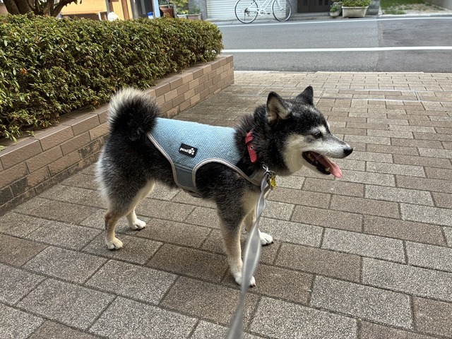 46D987A9-2D59-4E51-AEAA-B87066DCDF38_1_105_c