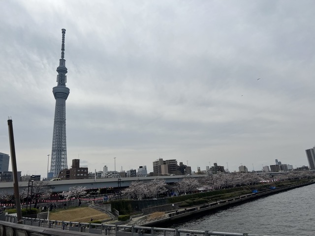 42A745C5-8570-4B6D-9EB7-59E1E6DFC12D_1_105_c