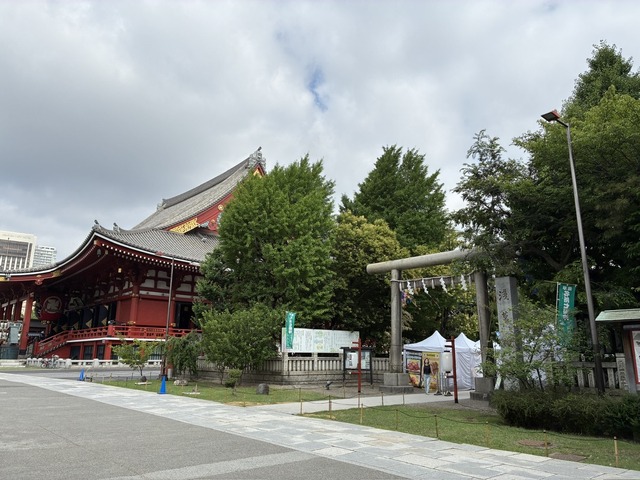 0832A510-D828-400E-A120-272E7656B4BB_1_105_c