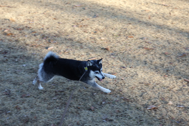 7964CD3B-AA43-4C26-8F2E-079B4000A11E