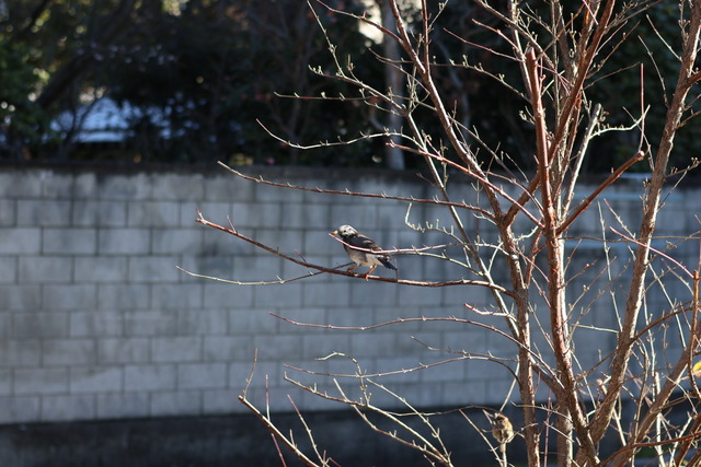 57BB0BB1-997B-447E-9ADF-07CB19139FF0