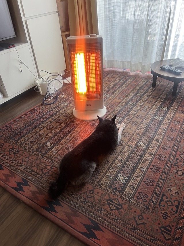 A008B126-46B5-4917-B30F-A3E49FFED7BB_1_105_c