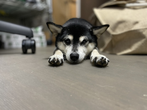 C79D1781-1C67-4CB8-AFCC-2863334EE27B_1_105_c