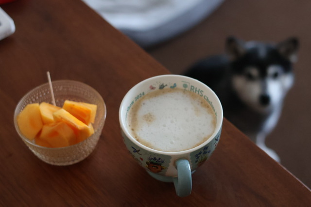 BC10506A-4104-41E8-964A-369FFC7CCEE4